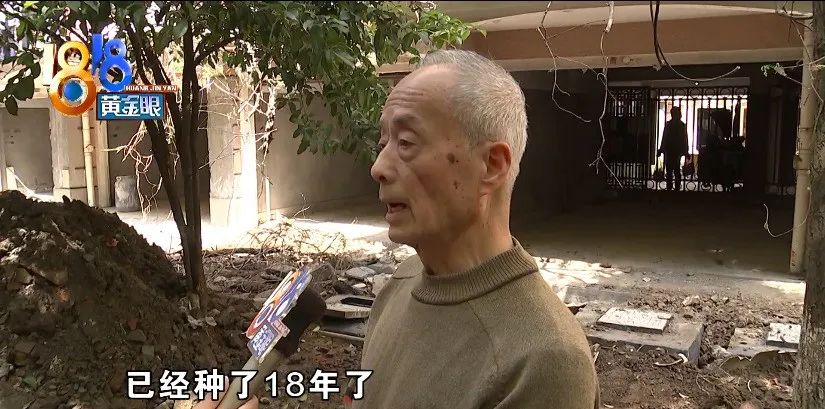 DƬ